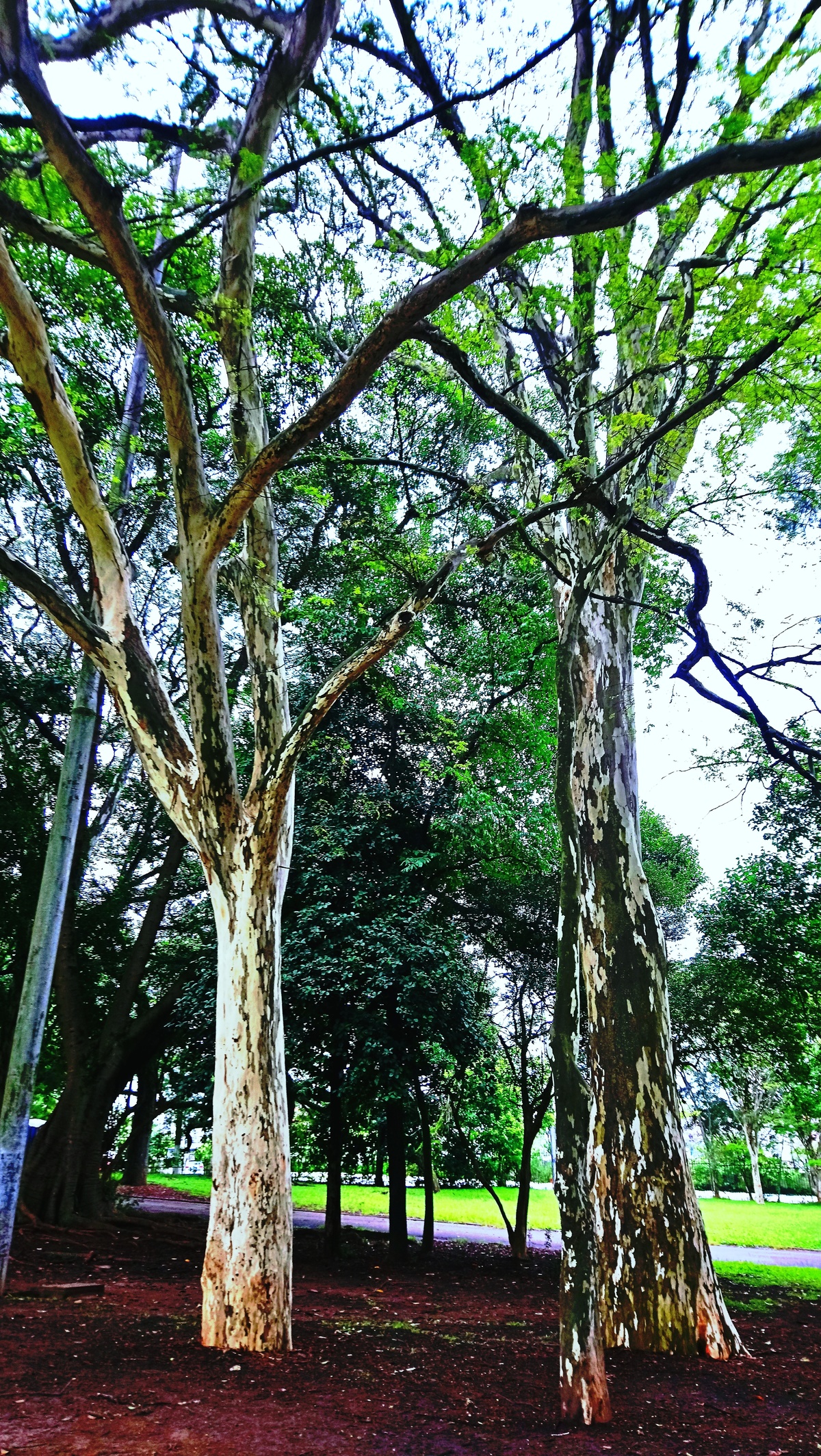 Parque da Independência