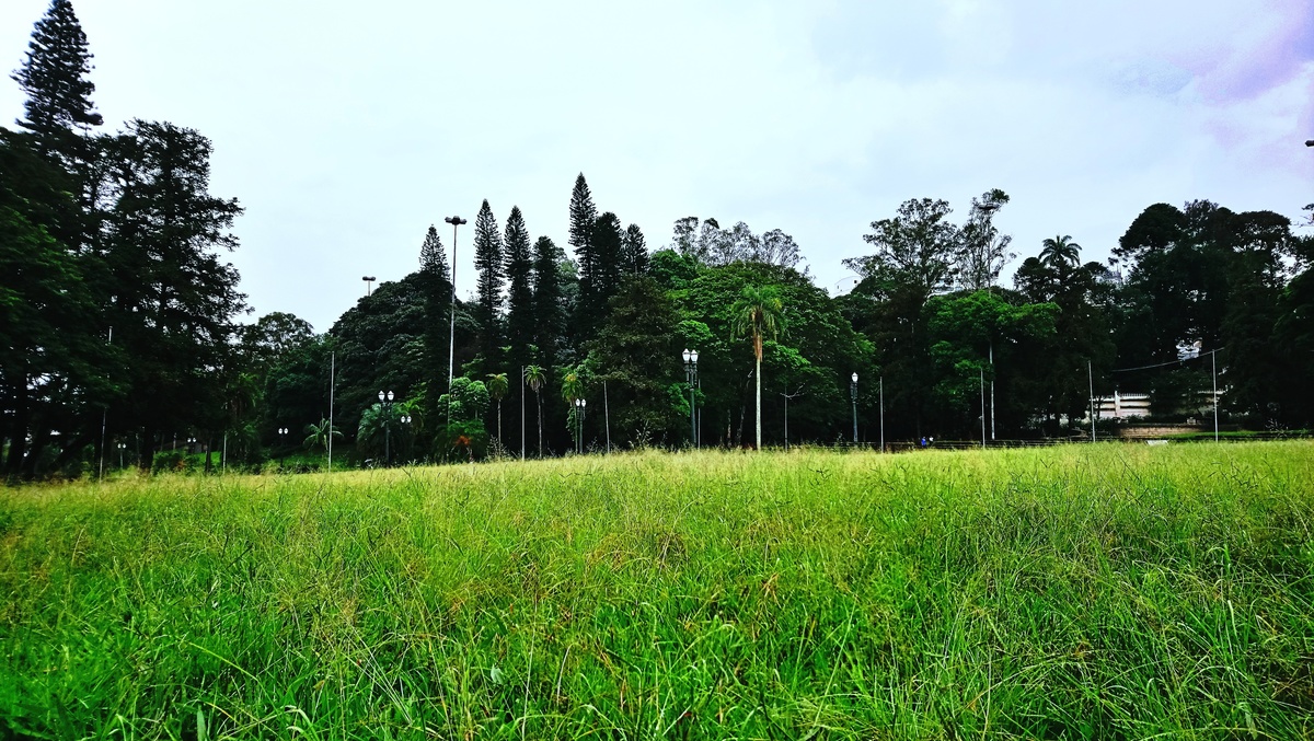 Parque da Independência
