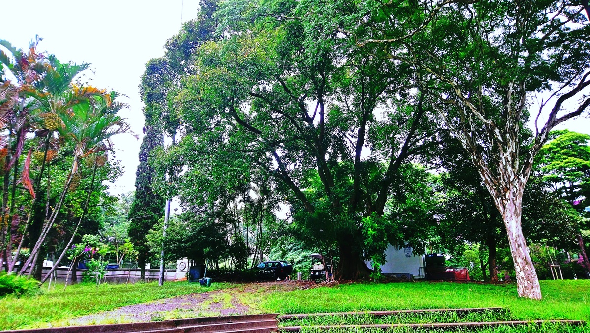 Parque da Independência