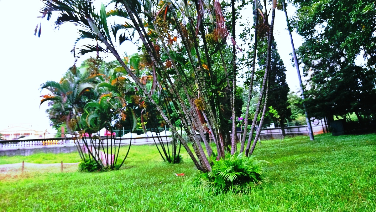 Parque da Independência