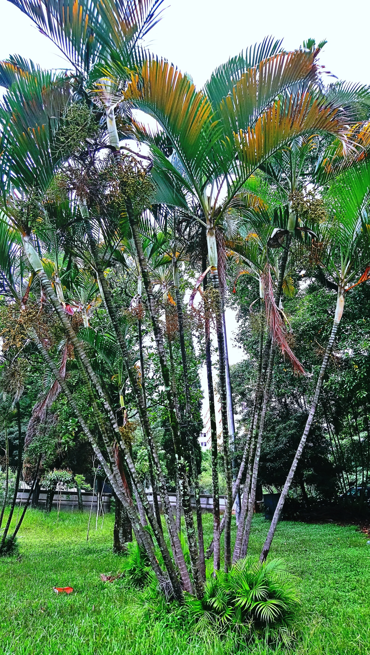 Parque da Independência