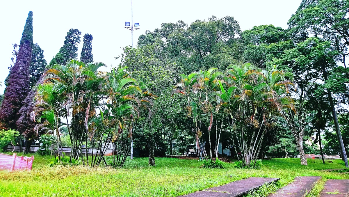 Parque da Independência