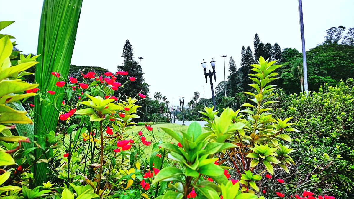 Parque da Independência