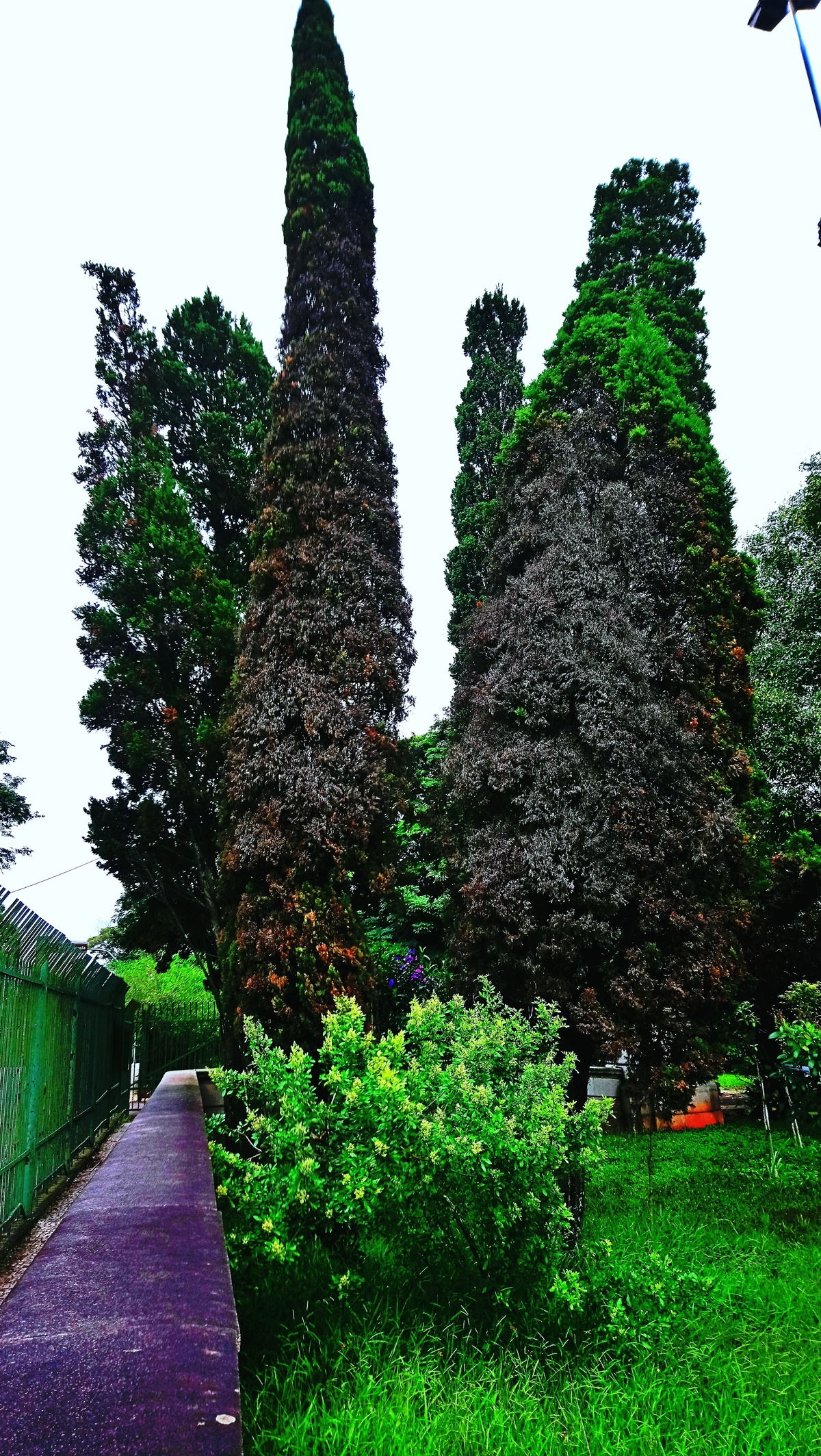 Parque da Independência