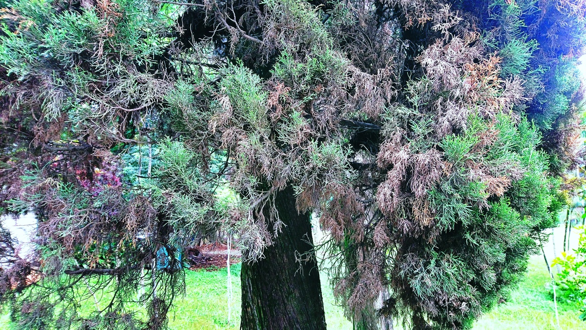 Parque da Independência