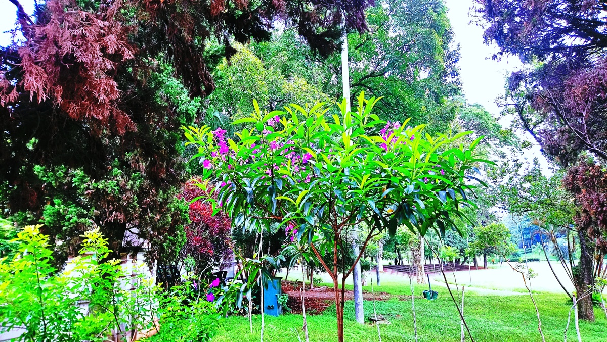 Parque da Independência