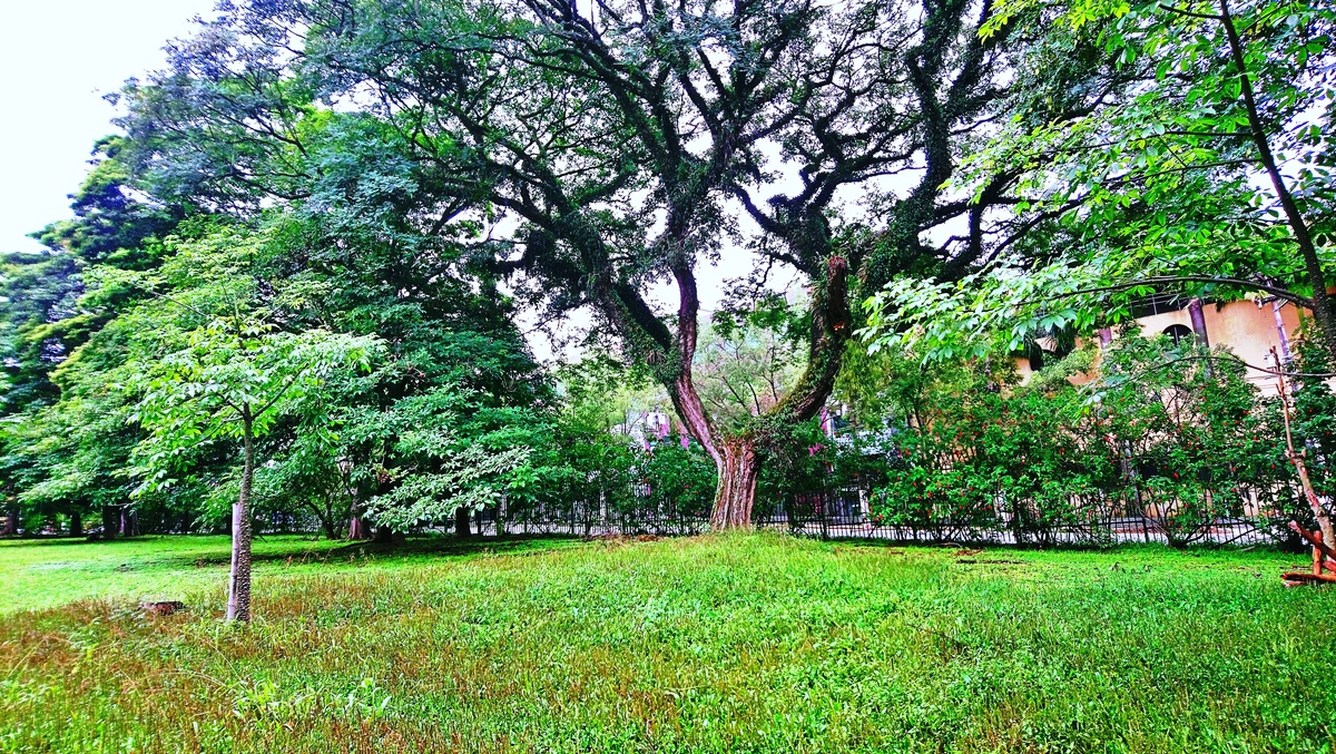 Parque da Independência