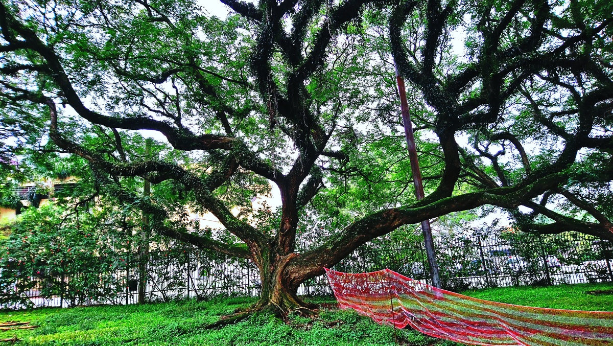 Parque da Independência