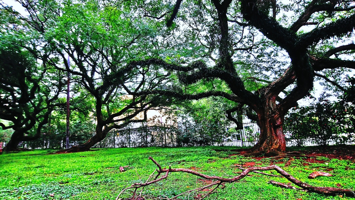 Parque da Independência