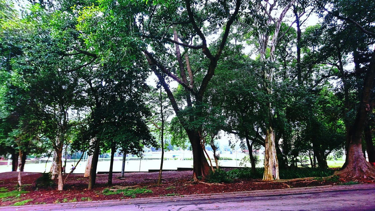 Parque da Independência