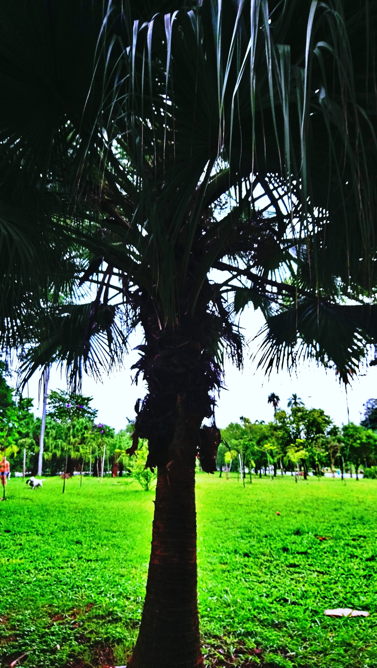 Parque da Independência