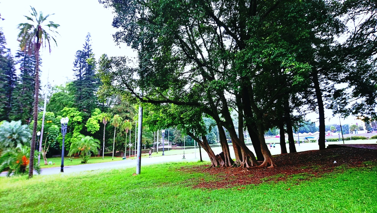 Parque da Independência