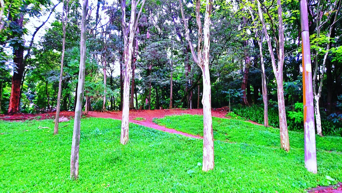 Parque da Independência