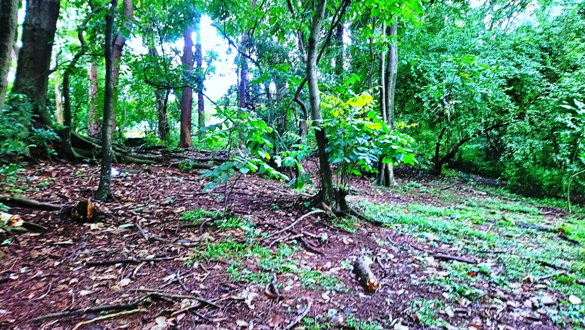 Parque da Independência