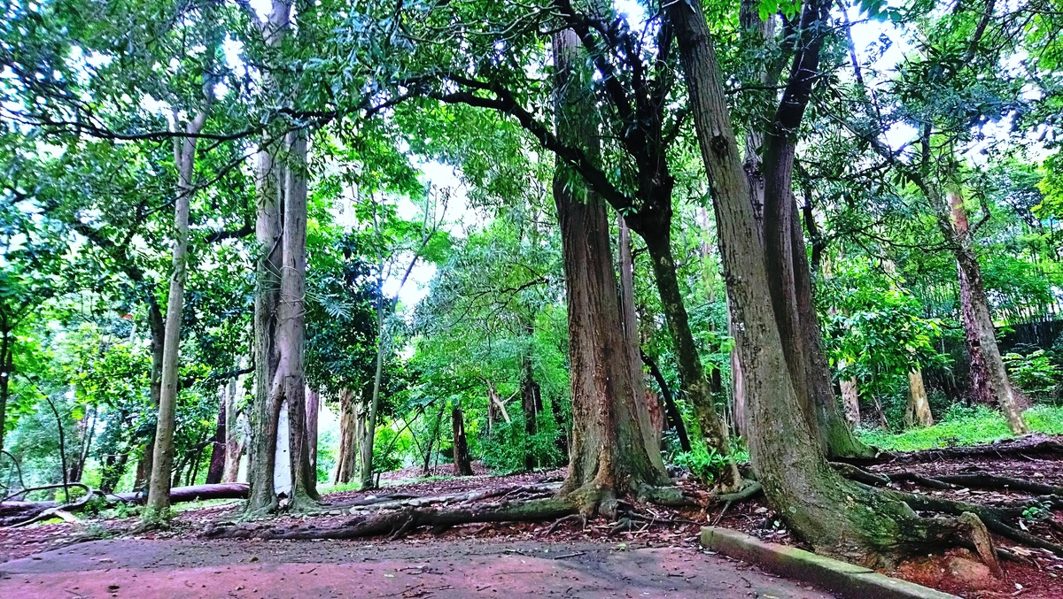 Parque da Independência