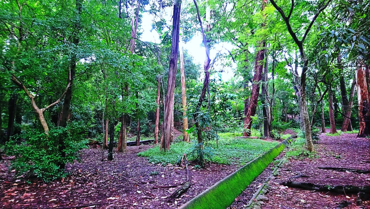 Parque da Independência