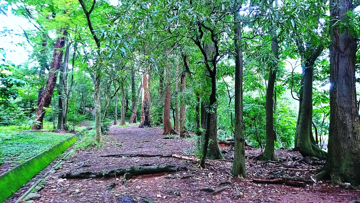 Parque da Independência