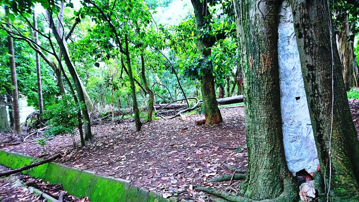 Parque da Independência