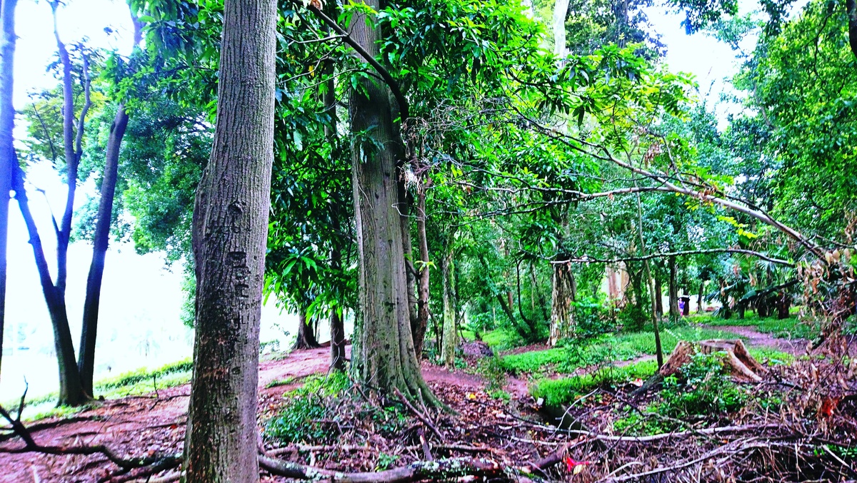 Parque da Independência