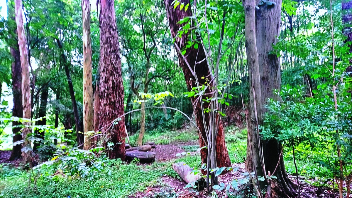 Parque da Independência