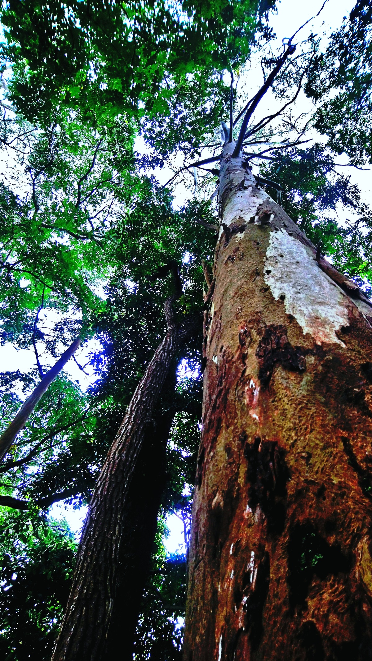 Parque da Independência