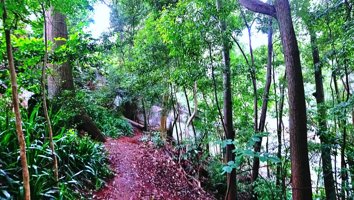 Parque da Independência