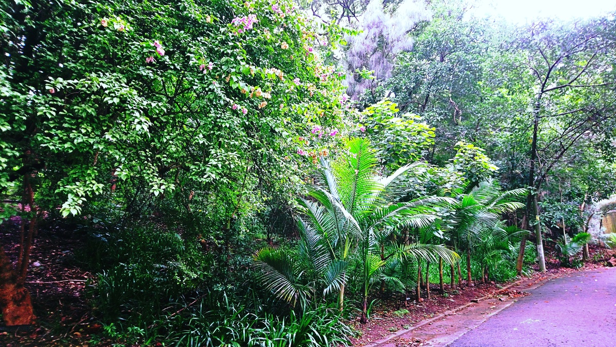 Parque da Independência