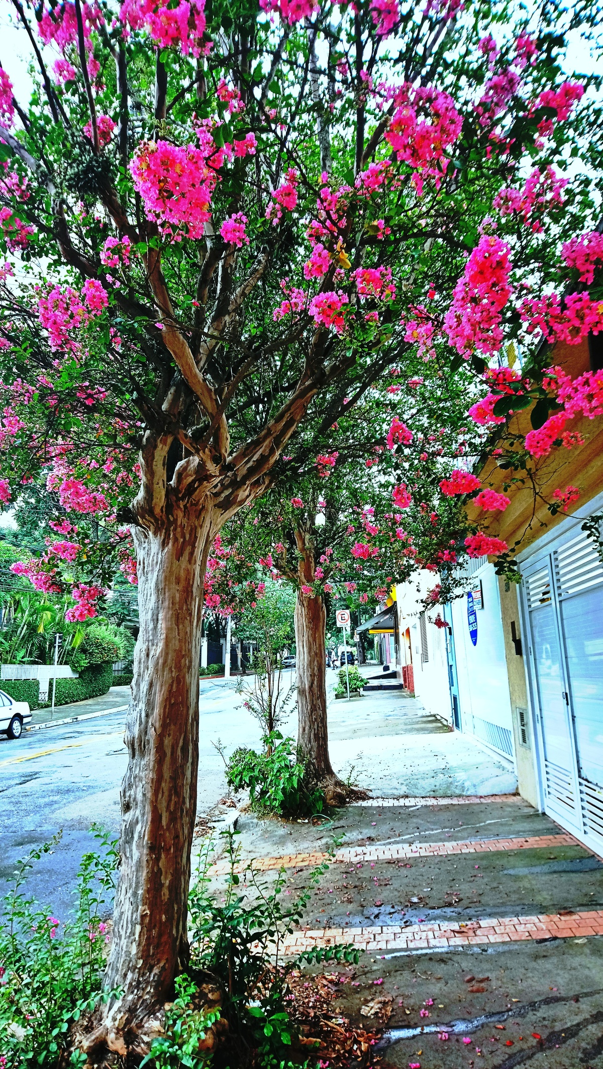 Parque da Independência
