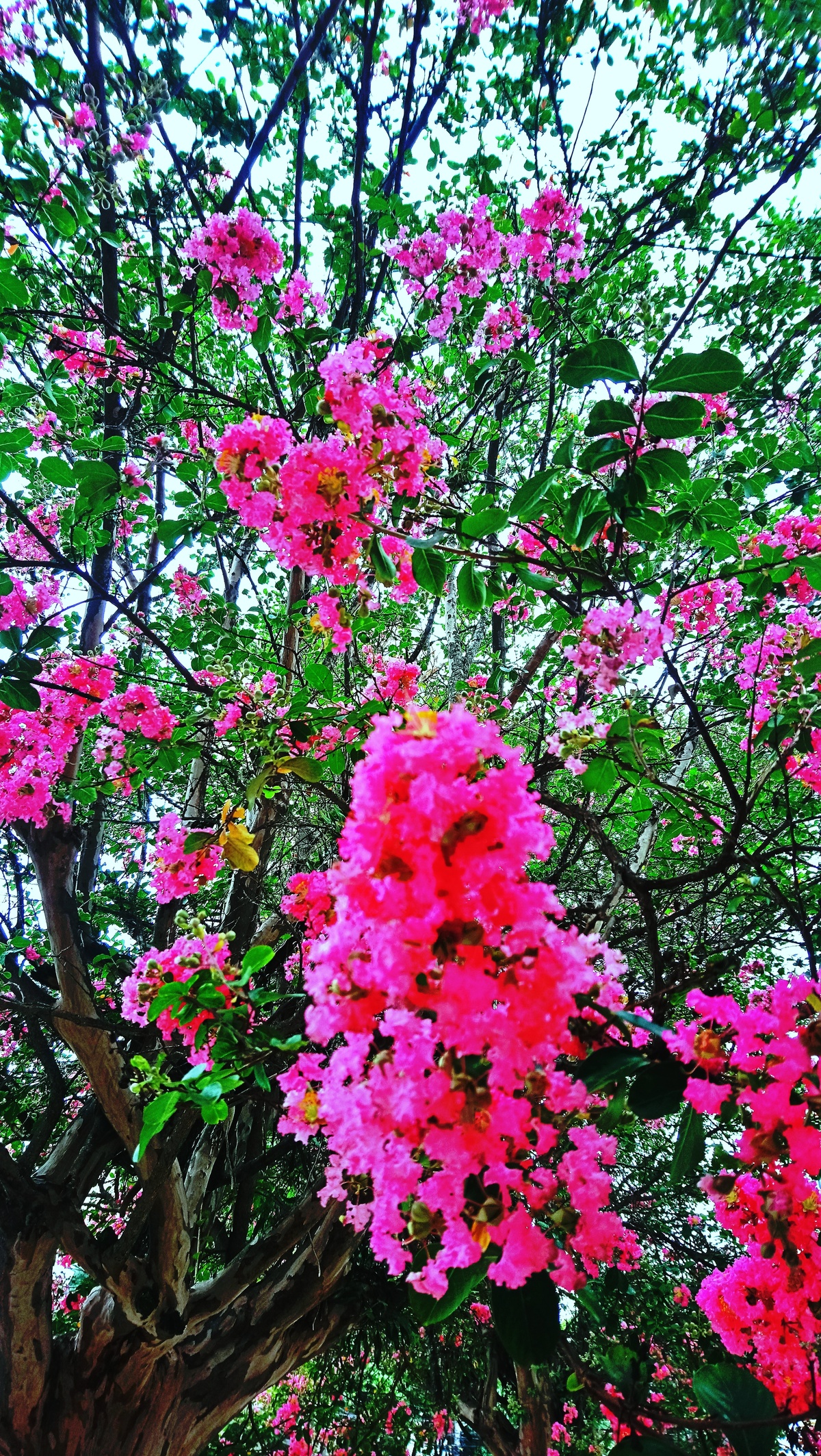 Parque da Independência