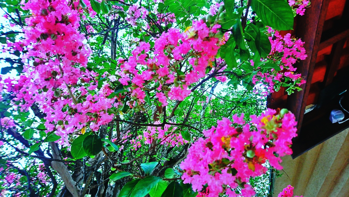 Parque da Independência