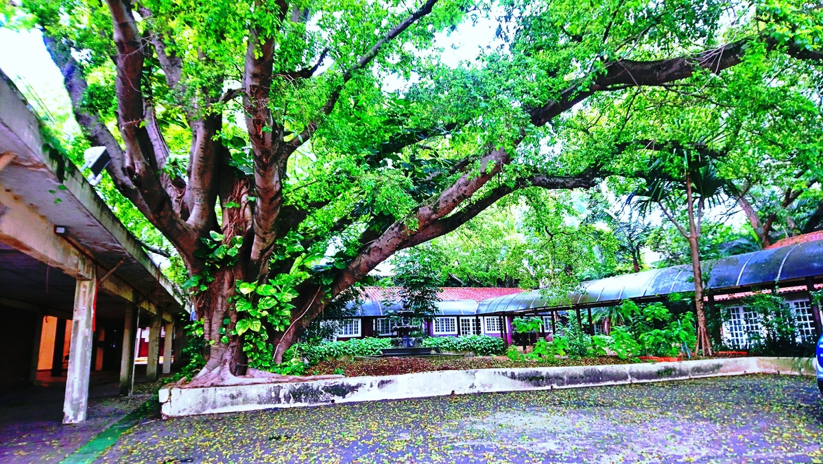 Parque da Independência