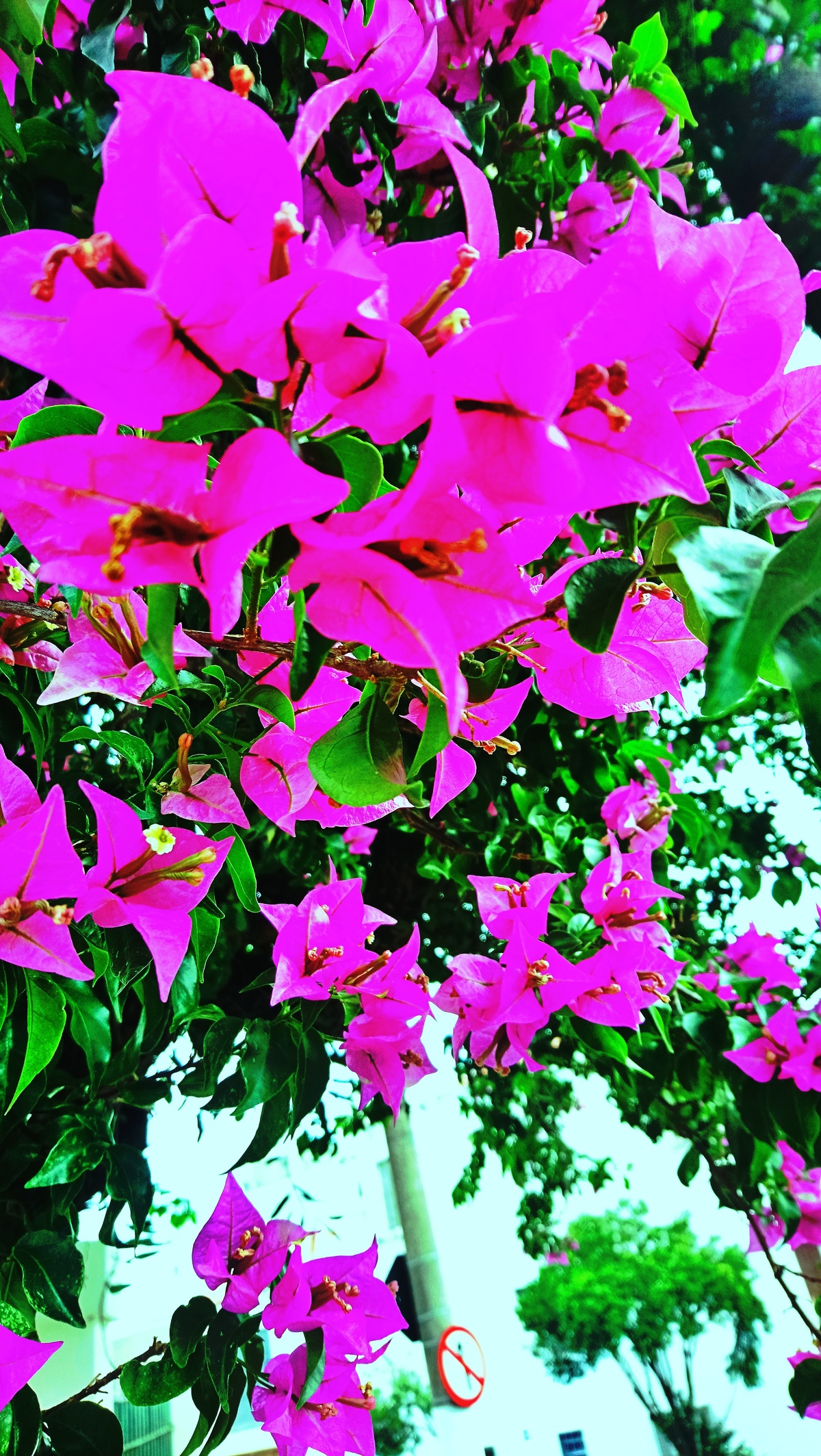 Parque da Independência