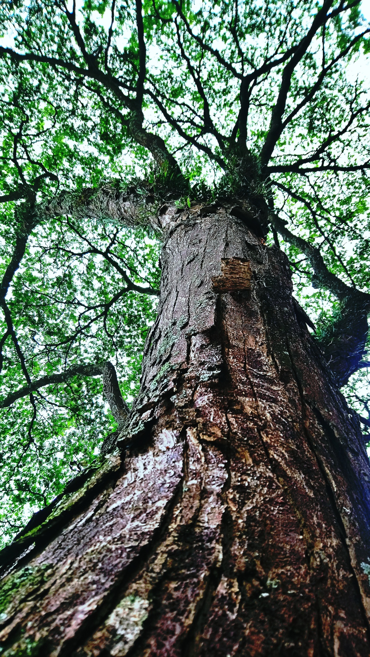 Parque da Independência