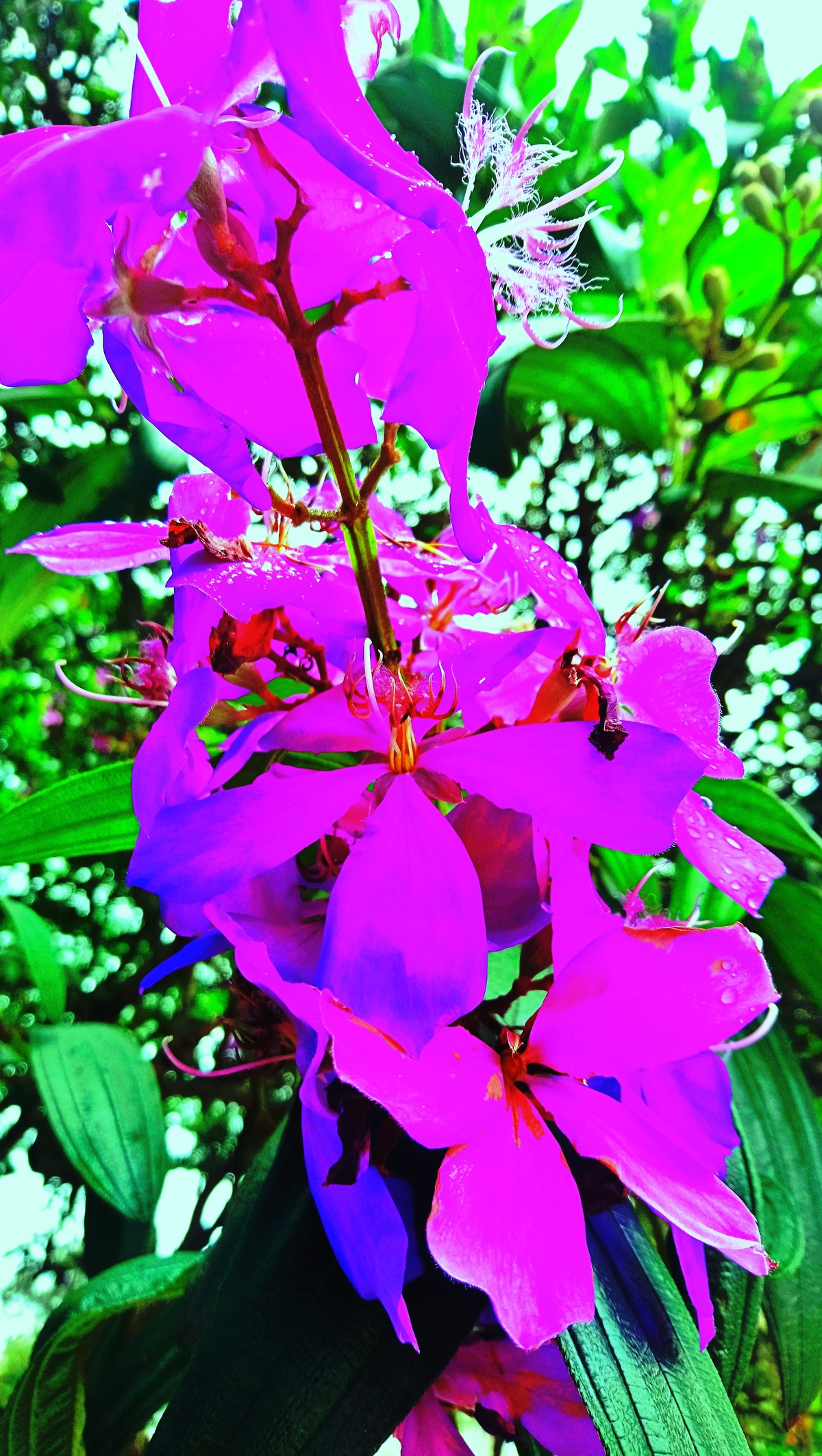 Parque da Independência