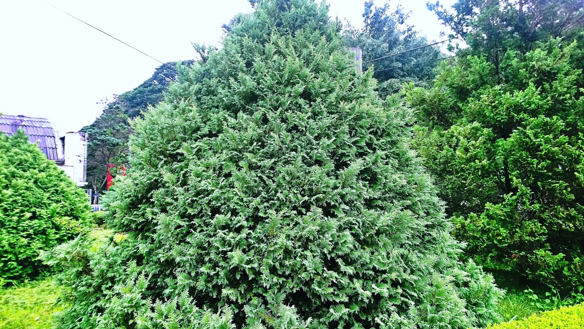 Parque da Independência