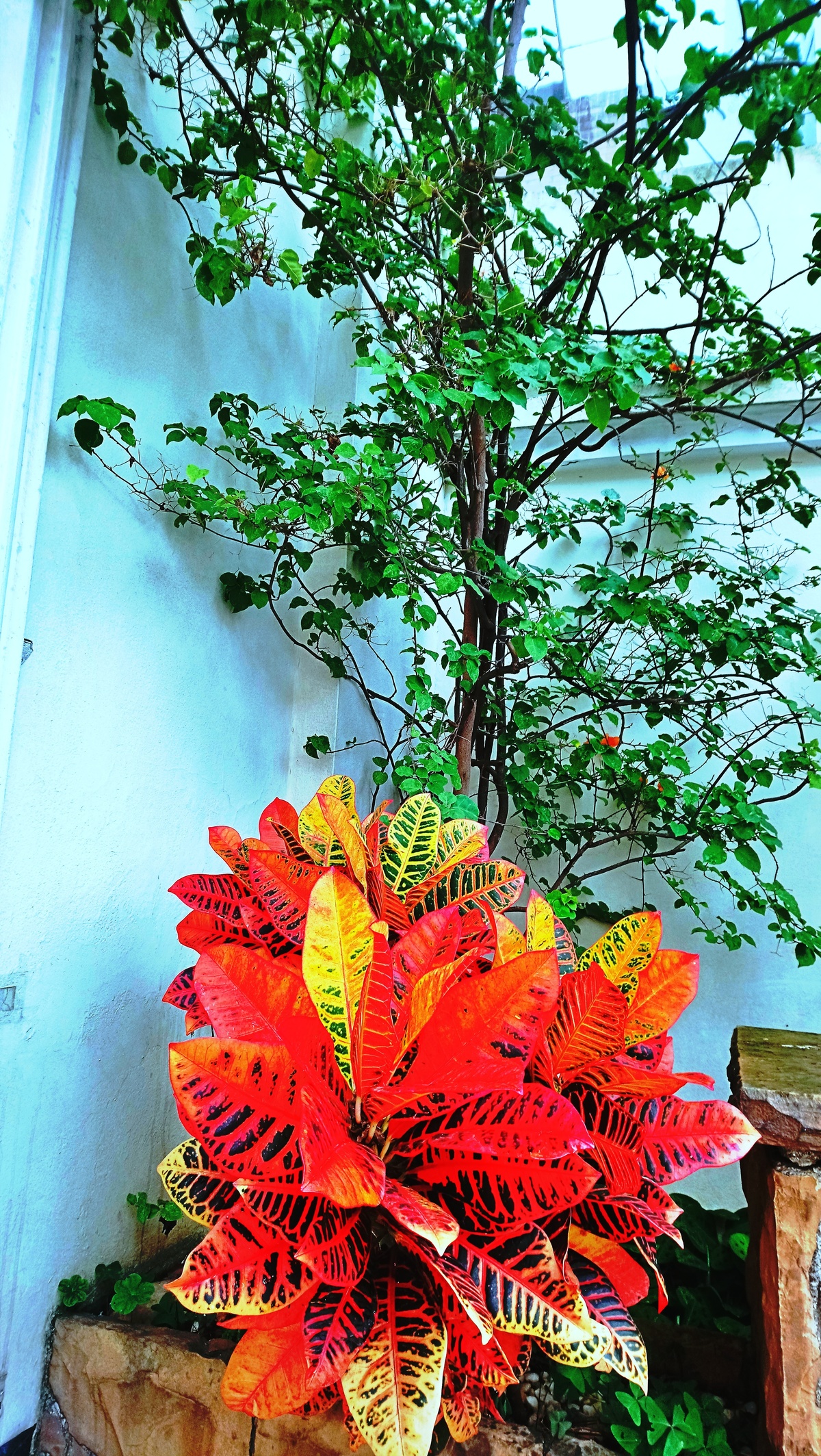 Parque da Independência