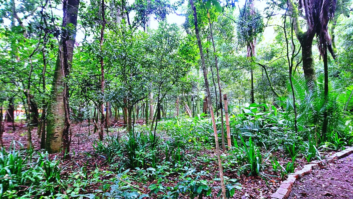 Parque da Independência