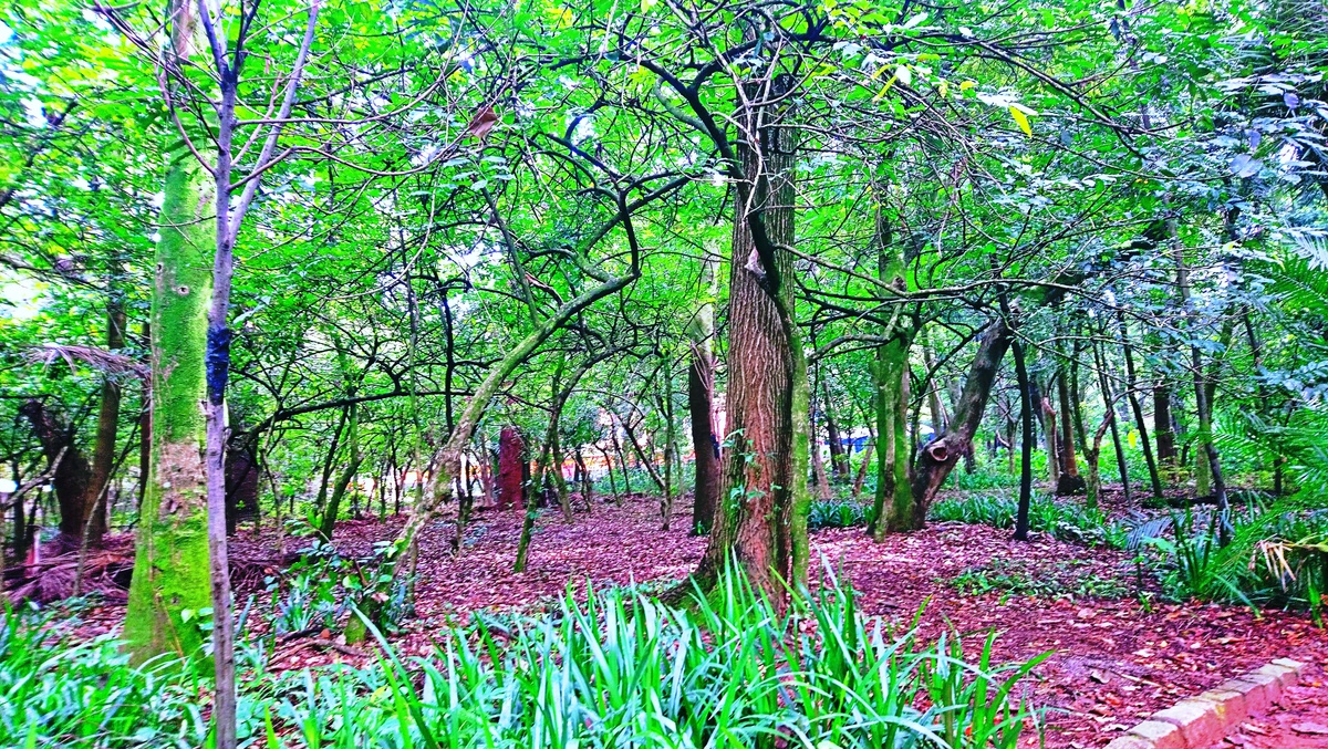 Parque da Independência