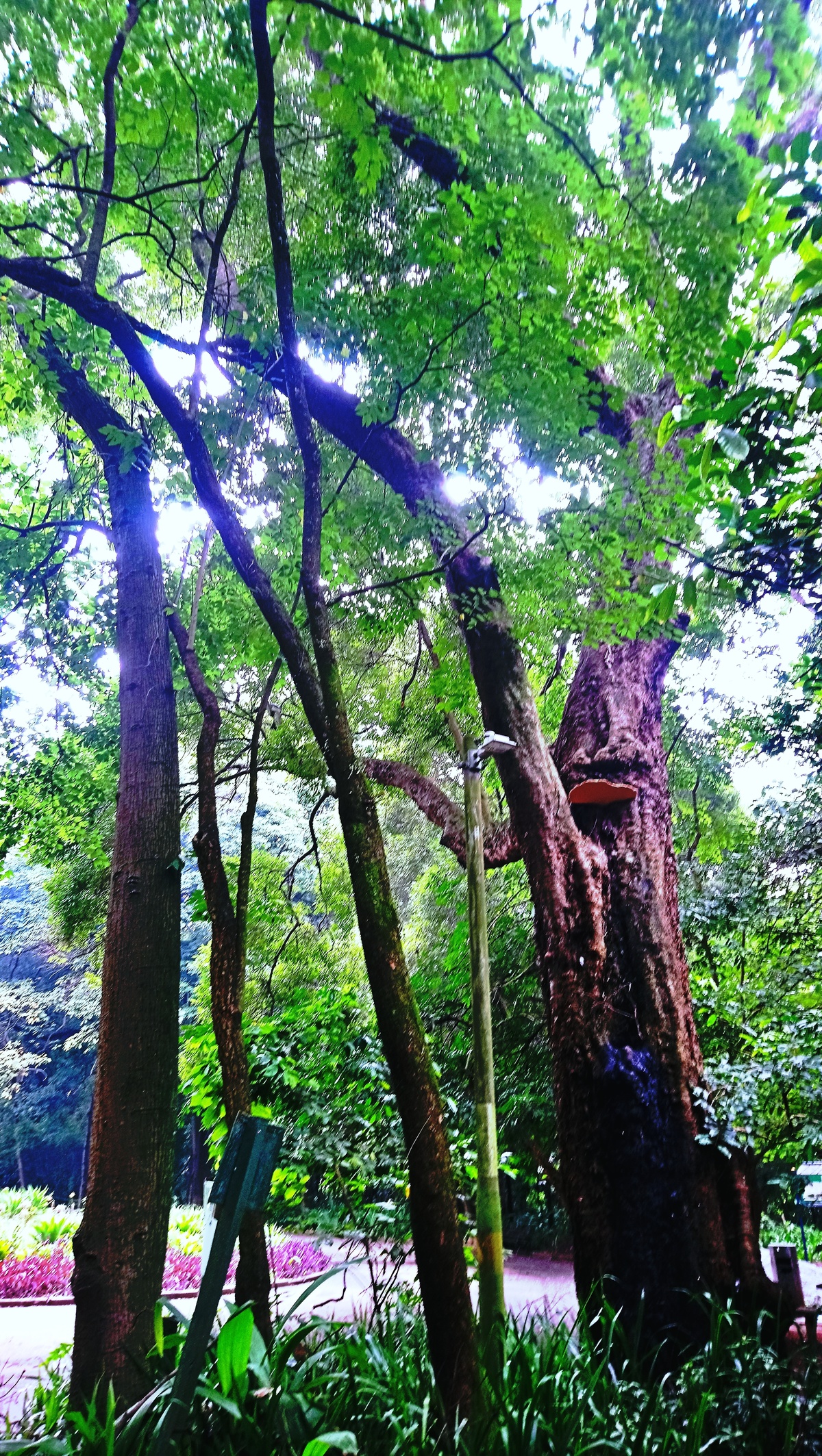 Parque da Independência