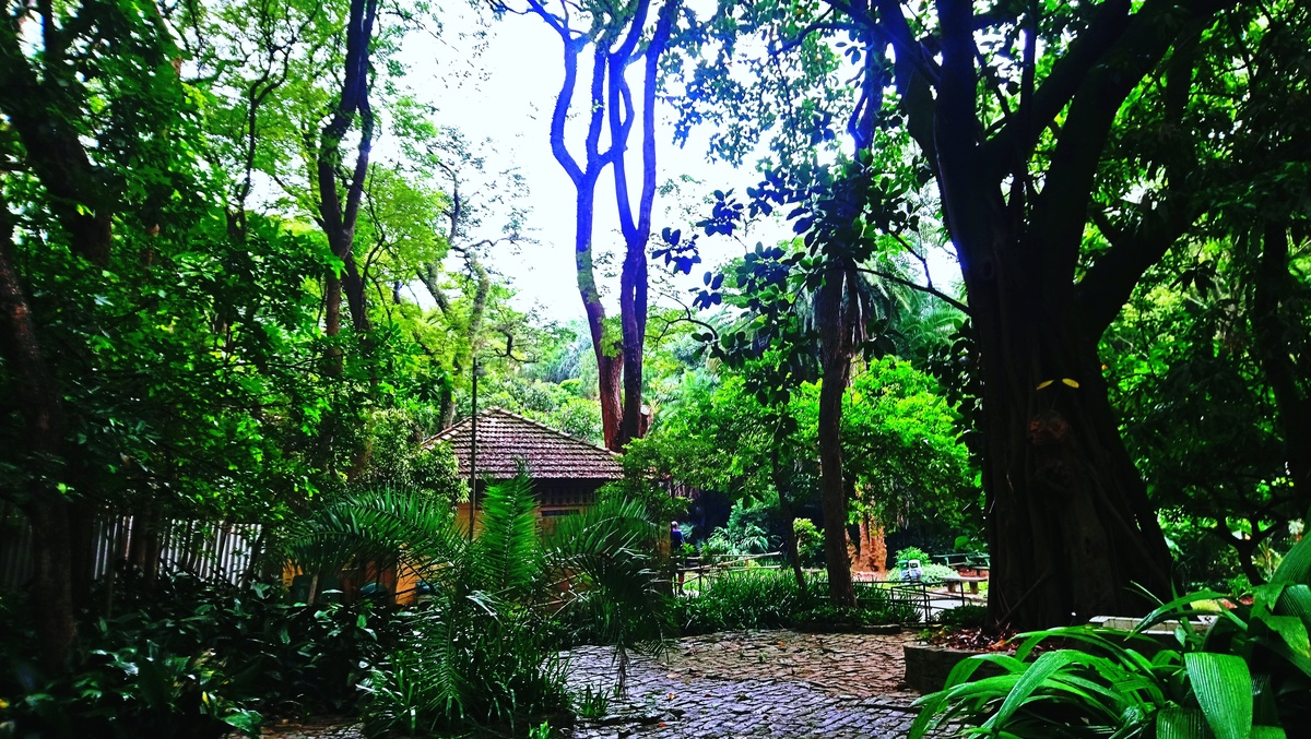 Parque da Independência