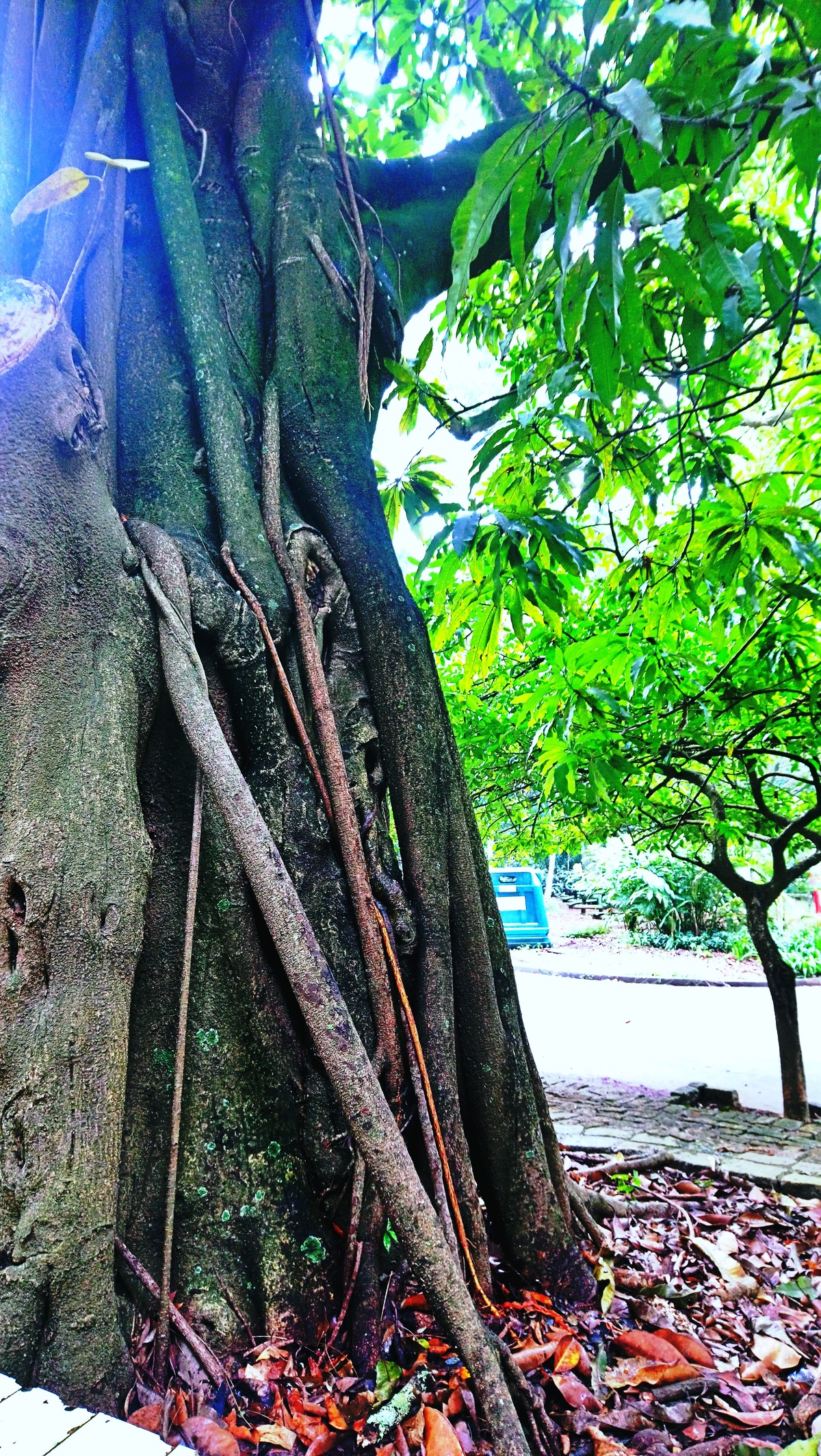 Parque da Independência