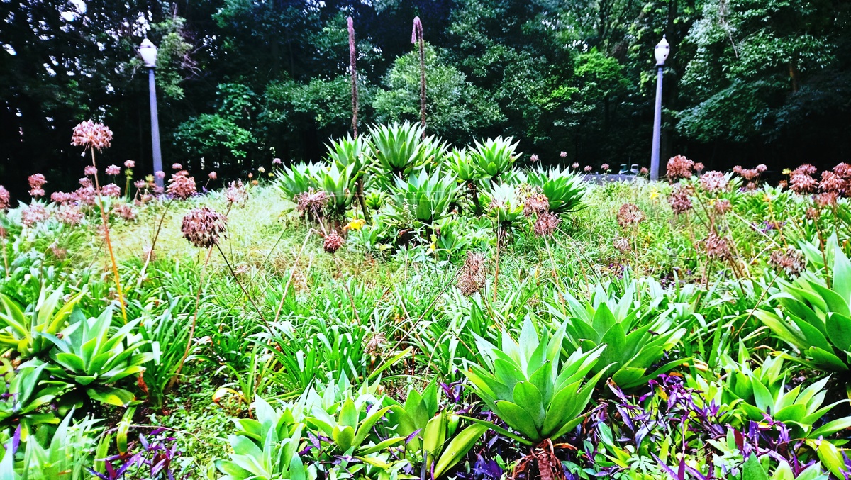 Parque da Independência