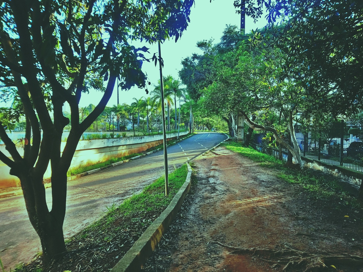 PARQUE CERET [JARDIM ANÁLIA FRANCO