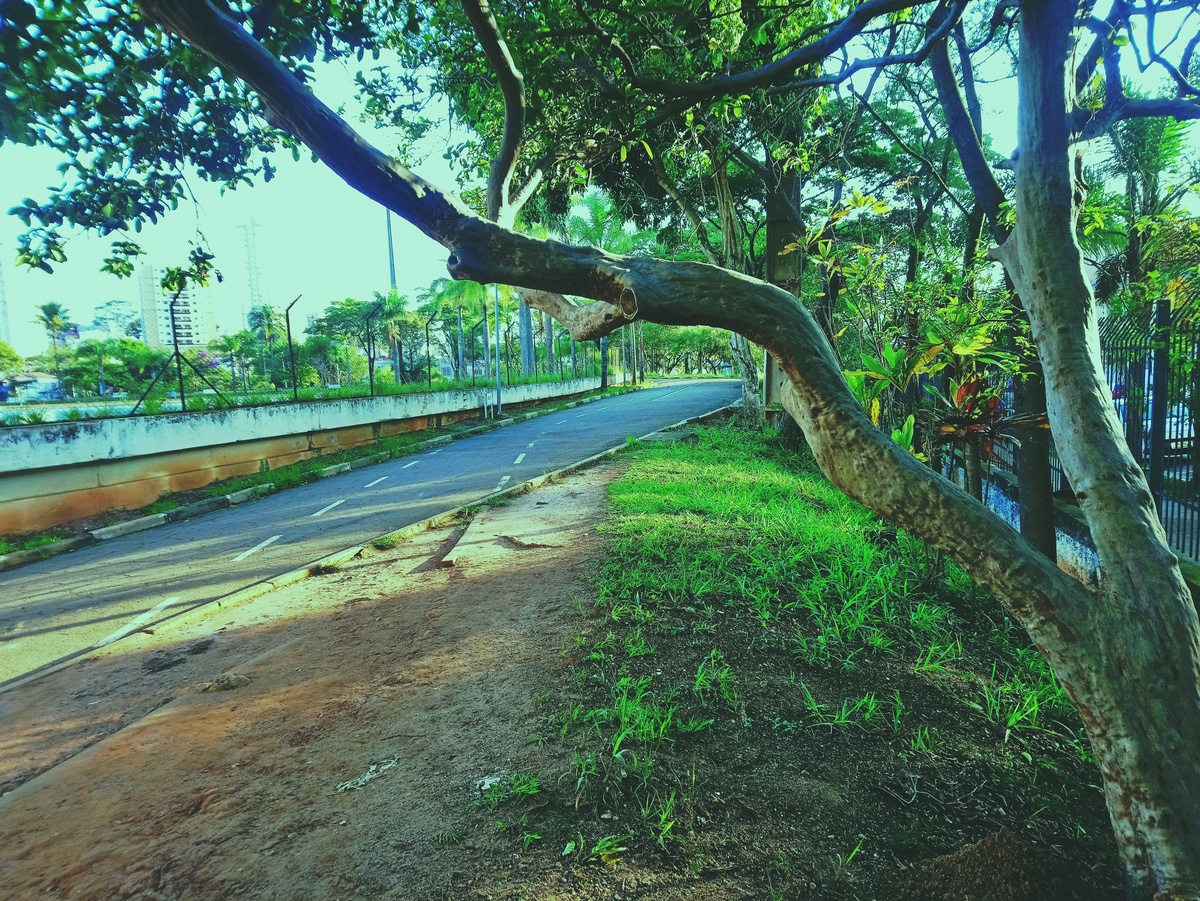PARQUE CERET [JARDIM ANÁLIA FRANCO
