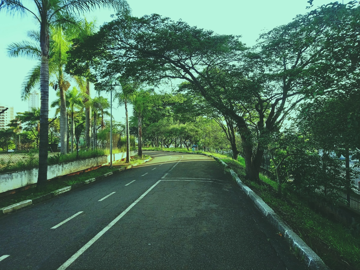 PARQUE CERET [JARDIM ANÁLIA FRANCO