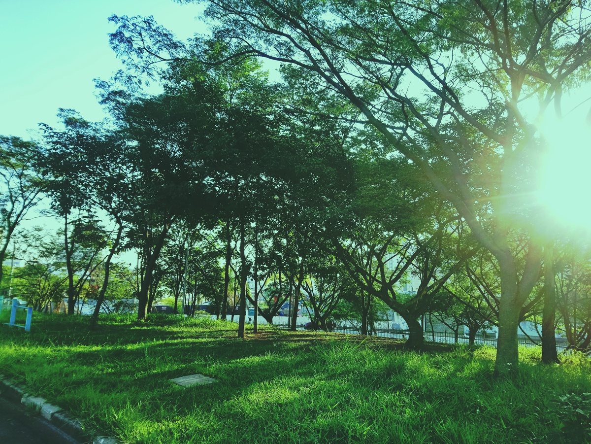 PARQUE CERET [JARDIM ANÁLIA FRANCO