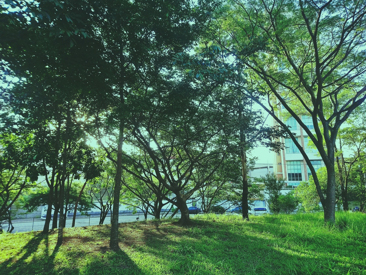 PARQUE CERET [JARDIM ANÁLIA FRANCO