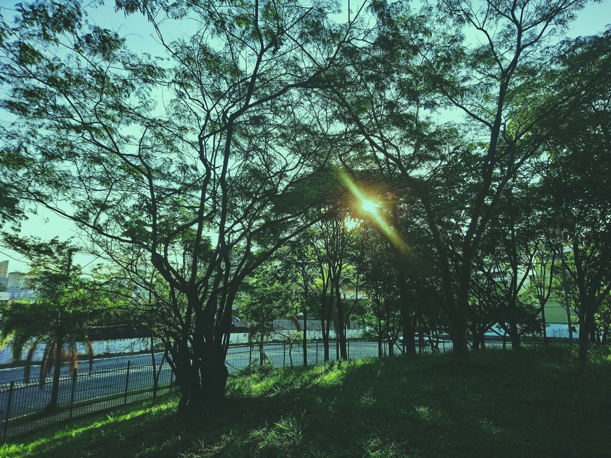 PARQUE CERET [JARDIM ANÁLIA FRANCO