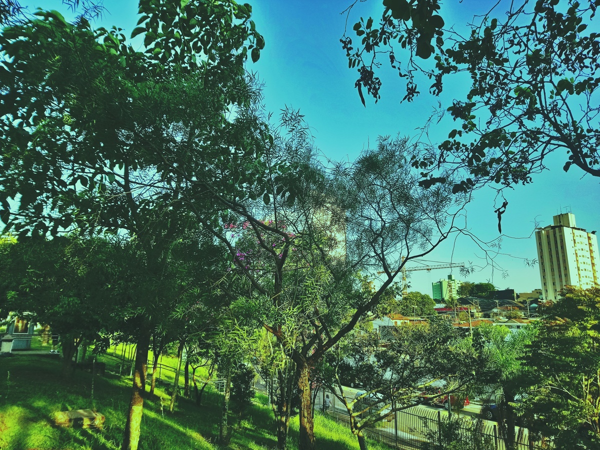 PARQUE CERET [JARDIM ANÁLIA FRANCO