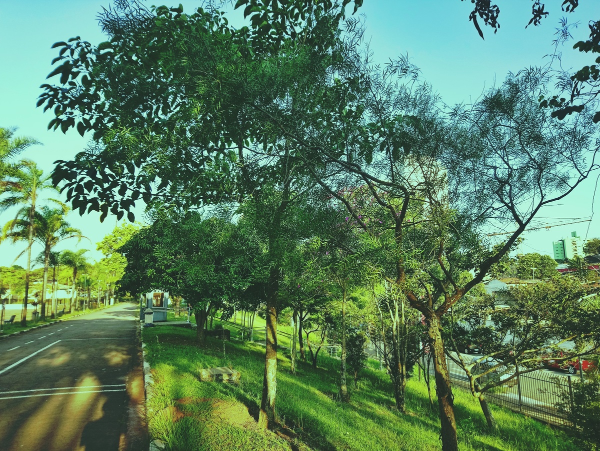 PARQUE CERET [JARDIM ANÁLIA FRANCO